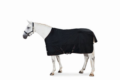 Eskadron Basics Gamma Meshlining Weidedecke für Pferde Schwarz 160 – Bild 1 von 3