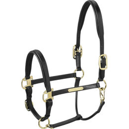 Eskadron Black P2 Lederhalfter Schwarz – Bild 1 von 4