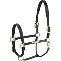 Produktbild von Eskadron Black P2 Lederhalfter Schwarz