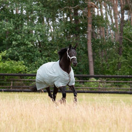 Eskadron Classic Sports 24 Gamma 840D Weidedecke für Pferde Grün 145 – Bild 1 von 4