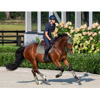 Produktbild von Eskadron Classic Sports 25 Mesh Schabracke Blau für Warmblut aus Polyester