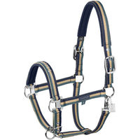 Produktbild von Eskadron Classic Sports 26 Double Pin Halfter aus Nylon in Blau mit silbernen Beschlägen