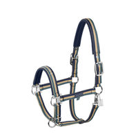 Produktbild von Eskadron Classic Sports 26 Double Pin Halfter aus Nylon in Petrol mit silbernen Beschlägen