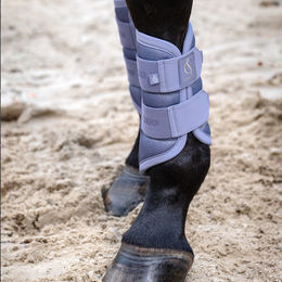 Eskadron Classic Sports 26 Mesh Gamaschen für Pferde in Beige und Gold Größe M – Bild 1 von 4