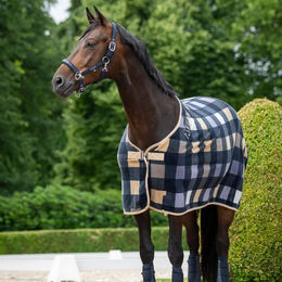 Eskadron Classic Sports 26 Sparkle Leder Stallhalfter für Ponys mit Double Pin in Silber und Blau – Bild 1 von 3