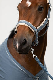 Eskadron Classic Sports Denim Double Pin Pferdehalfter mit Teddyfleece in Dusty Olive Größe P2 – Bild 1 von 2