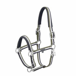Eskadron Classic Sports Double Pin Halfter für Pferde in Grün mit silbernen Beschlägen – Bild 1 von 3