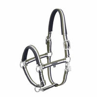 Produktbild von Eskadron Classic Sports Double Pin Halfter für Pferde in Grün mit silbernen Beschlägen