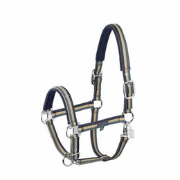 Eskadron Classic Sports Halfter Double Pin Nylonhalfter Blau Silber – Bild 1 von 4