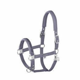 Eskadron Classic Sports Softshell Halfter Jewel Lila – Bild 1 von 7