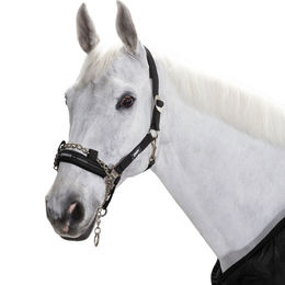 Eskadron Control Halfter mit Schiebeschnalle und Führkette Schwarz Größe Pony – Bild 1 von 3
