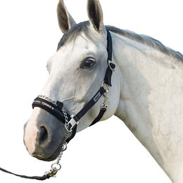 Eskadron Control Pin Buckle Halfter für Pferde aus Nylon – Bild 1 von 4