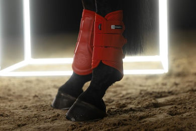 Eskadron Dynamic 25 Mesh Gamaschen für Pferde aus Polyester in Grün Größe L – Bild 1 von 3