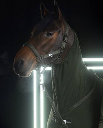 Eskadron Dynamic Fleece Zip-Halsteil für Pferde aus Polyester – Bild 1 von 8