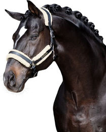 Eskadron Faux Fur Set Stallion Schoner Plüsch Schwarz für Warmblut – Bild 1 von 1