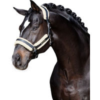 Produktbild von Eskadron Faux Fur Set Stallion Schoner Plüsch Schwarz für Warmblut