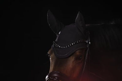 Eskadron Fliegenohren Dynair Mesh Sport Dynamic 2025 Schwarz aus Polyester für Warmblut – Bild 1 von 2