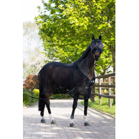 Produktbild von Eskadron FLY Halfter Maske Schwarz aus Kunststoff
