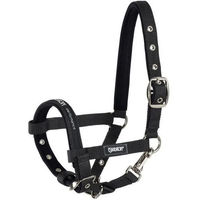 Produktbild von Eskadron Foal Core Halfter für Fohlen in Schwarz - 1 Stk.