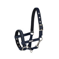 Produktbild von Eskadron Halfter Basics Fohlen Blau