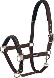 Eskadron Halfter Basics mit Dornschnalle aus Nylon in Dark Brown Größe XWB – Bild 1 von 1
