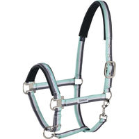 Produktbild von Eskadron Halfter Basics mit Dornschnalle aus Nylon in Ice-white-stone P1