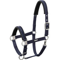Produktbild von Eskadron Halfter Basics mit Dornschnalle aus Nylon in Nightblue Grösse XWB