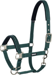 Eskadron Halfter Basics mit Dornschnalle in Racinggreen für Vollblut aus Neopren – Bild 1 von 2