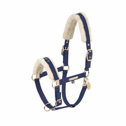 Eskadron Halfter Faux Leather Double Pin FF Heritage aus Kunstleder in Blau und Gold – Bild 1 von 2