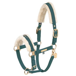 Produktbild von Eskadron Halfter Faux Leather Double Pin FF Heritage Kunstleder