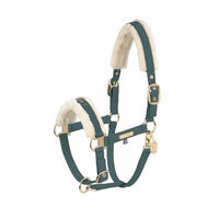 Produktbild von Eskadron Halfter Faux Leather Double Pin FF Heritage Kunstleder Gold Grün