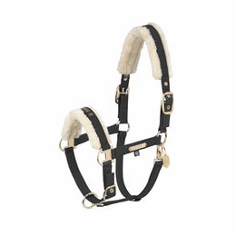Produktbild von Eskadron Halfter Faux Leather Double Pin FF Heritage Kunstleder Schwarz Gold