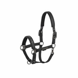 Produktbild von Eskadron Halfter Faux Leather Double Pin Schwarz Pony Kunstleder
