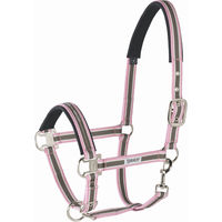 Produktbild von Eskadron Halfter mit Dornschnalle Basics aus Nylon in Beige und Powderrosa für Warmblut