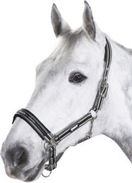 Produktbild von Eskadron Halfter mit Dornschnalle Schwarz