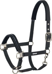 Eskadron Halfter mit Dornschnalle und Pin Buckle aus Neopren in Schwarz – Bild 1 von 2