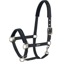 Produktbild von Eskadron Halfter mit Dornschnalle und Pin Buckle aus Neopren in Schwarz