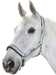 Eskadron Halfter New Basic Dornschnalle für Vollblut in Ice-White-Stone – Bild 1 von 2