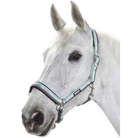 Produktbild von Eskadron Halfter New Basic Dornschnalle für Vollblut in Ice-White-Stone