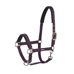 Produktbild von Eskadron Halfter New Basic Dornschnalle Pony Größe 2 in BlackBerry