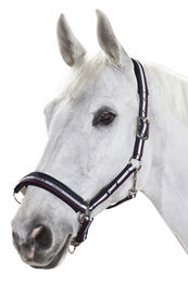 Eskadron Halfter New Basic Dornschnalle Pony in Nightblue-White-Blackberry – Bild 1 von 2