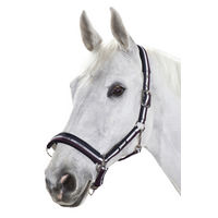 Produktbild von Eskadron Halfter New Basic Dornschnalle Pony in Nightblue-White-Blackberry