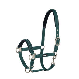 Eskadron Halfter Pin Buckle Core in Grün für Warmblut – Bild 1 von 4