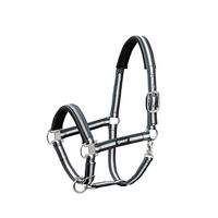 Produktbild von Eskadron Halfter Pin Buckle WB Navy-White-Ashblue