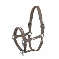Produktbild von Eskadron Halfter Softshell Double Pin Dynamic powdertaupe