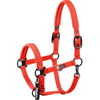 Produktbild von Eskadron Halfter Sparkle Double Pin Dynamic Gurtband Schwarz Rot