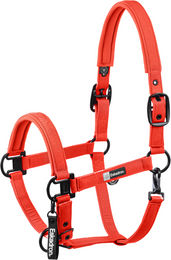 Produktbild von Eskadron Halfter Sparkle Double Pin Dynamic mit Gurtband in Schwarz und Rot