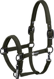 Produktbild von Eskadron Halfter Sparkle Double Pin Dynamic Schwarz