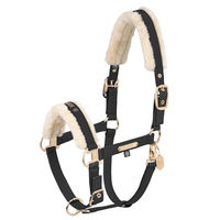 Produktbild von Eskadron Heritage Halfter aus Kunstleder für Ponys in Schwarz