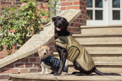 Eskadron Heritage Hundemantel Cardamom Beige Größe 55 mit Fleece-Futter für den Winter – Bild 1 von 2